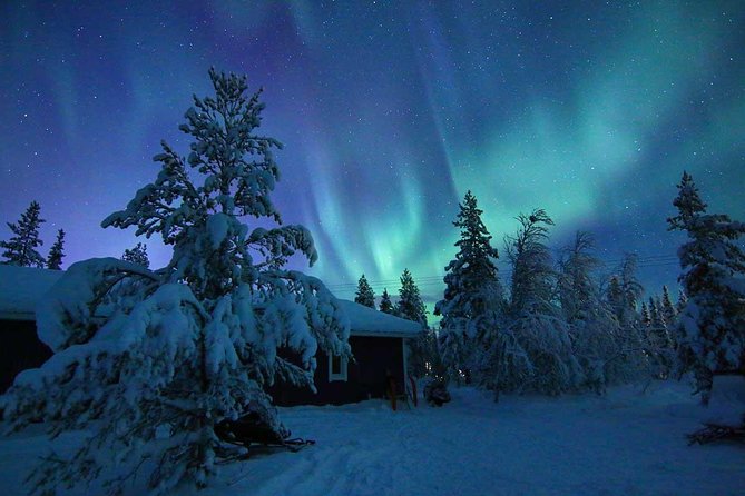Snowmobile Aurora Expedition With Dinner - Exploring the Arctic Landscape