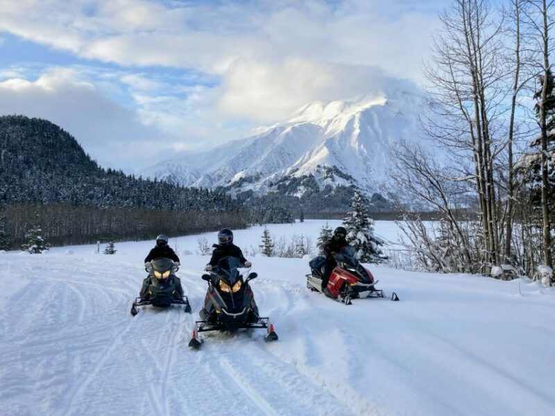 Snowmobile Classic Tour in Kenai Fjords National Park - Final Thoughts