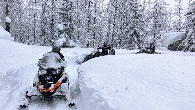 Snowmobile Classic Tour in Kenai Fjords National Park - Booking and Confirmation Process