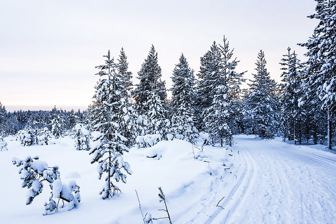 Snowmobile Driving - Afternoon Start - Meeting and Pickup