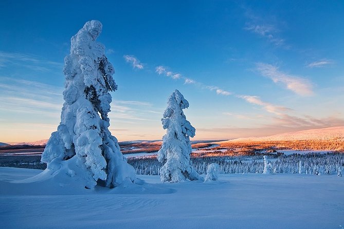 Snowmobile Driving - Morning Start - Ensuring Safety and Comfort