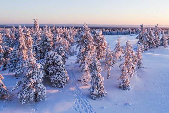 Snowmobile Driving - Morning Start - Reflecting on the Experience