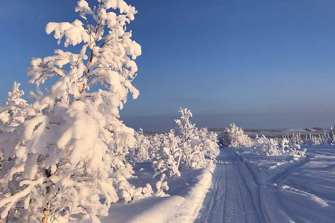 Snowmobile Exclusive Tour - Personalized Attention