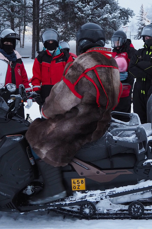 Snowmobile Expedition in Lapland - Experience Highlights