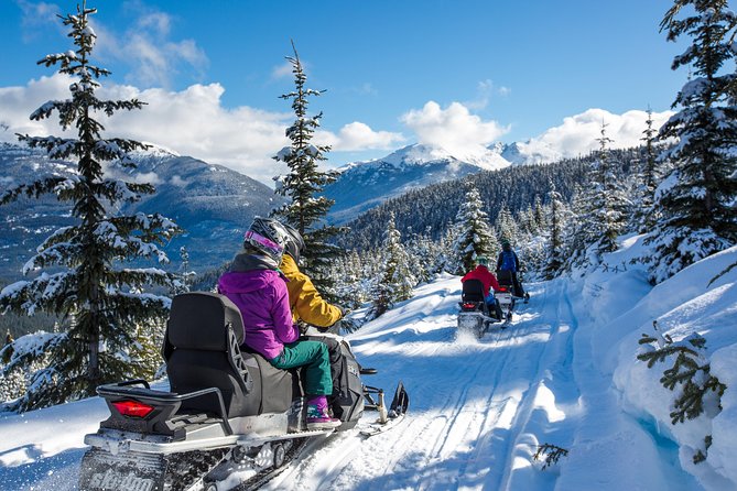 Snowmobile Family Tour in Whistler - Exploration of Cougar Mountain Trails