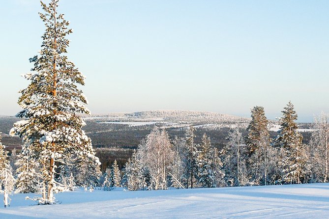 Snowmobile Safari in the Forest - Snowmobile Safety and Preparation