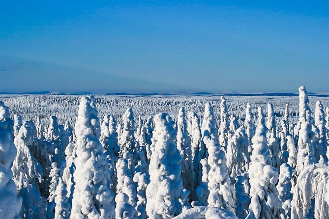 Snowmobile Safari in the Nature - Booking Policies and Terms