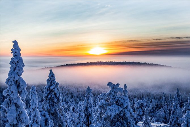 Snowmobile Safari in the Nature - Customer Reviews and Feedback