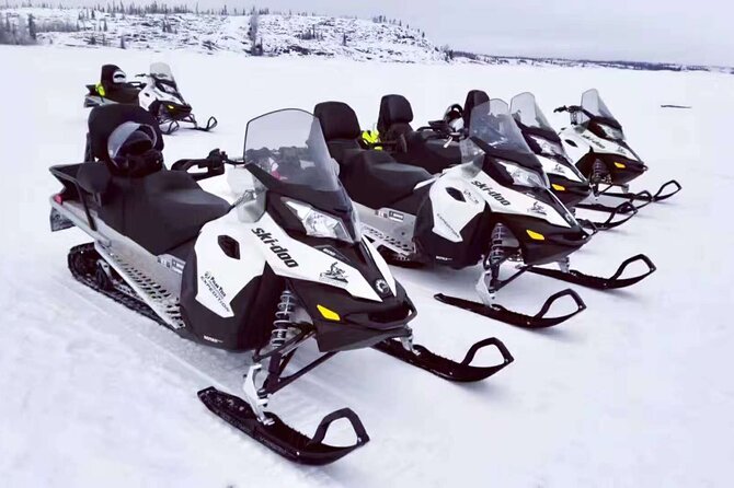 Snowmobile Tour - Snowmobile Safety Considerations