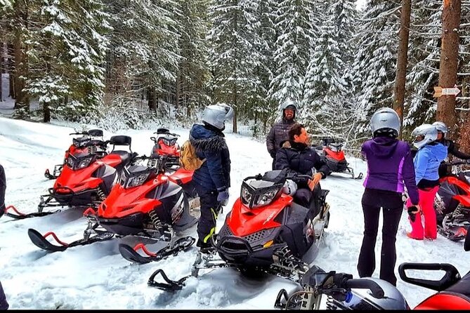 Snowmobiles Rides in the Carpathian and Winter Sports - Group Size and Accessibility