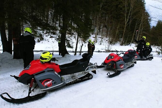 Snowmobiles Rides in the Carpathian and Winter Sports - Pricing Information