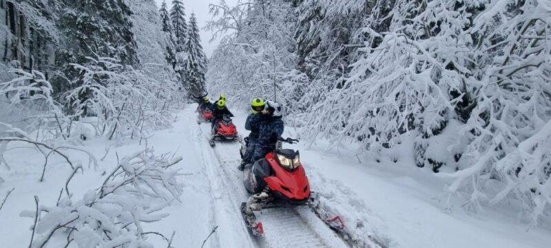 SnowMobiles Tour in Carpathian Mountains - Adventure Highlights