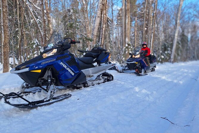 Snowmobiling Activity Rides of 1 Hour 30 - Reviews and Ratings