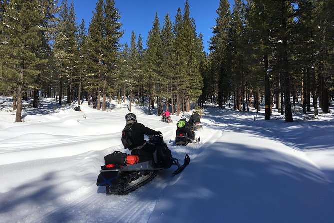 Snowmobiling Packages in the Sierras From Reno, Nevada - Planning Your Snowmobiling Experience