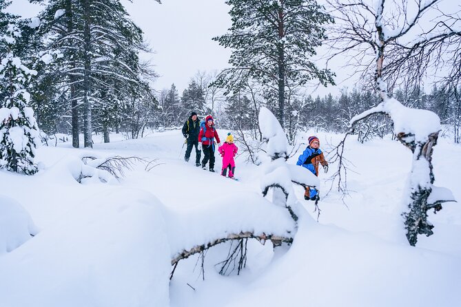 Snowshoe Adventure in Saariselkä - Key Points