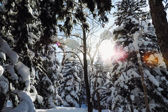 Snowshoe Adventures and Onsen Bliss Winter Escape in Furano - The Rejuvenating Power of Hakuginso Onsen