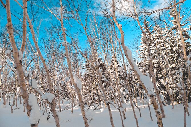 Snowshoe Adventures and Onsen Bliss Winter Escape in Furano - Booking and Cancellation Flexibility