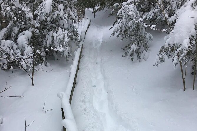 Snowshoe Awenda Provincial Park on Beautiful Georgian Bay - Meeting Point and Directions