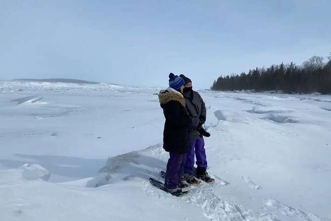 Snowshoe Awenda Provincial Park on Beautiful Georgian Bay - Experience Duration and Timing