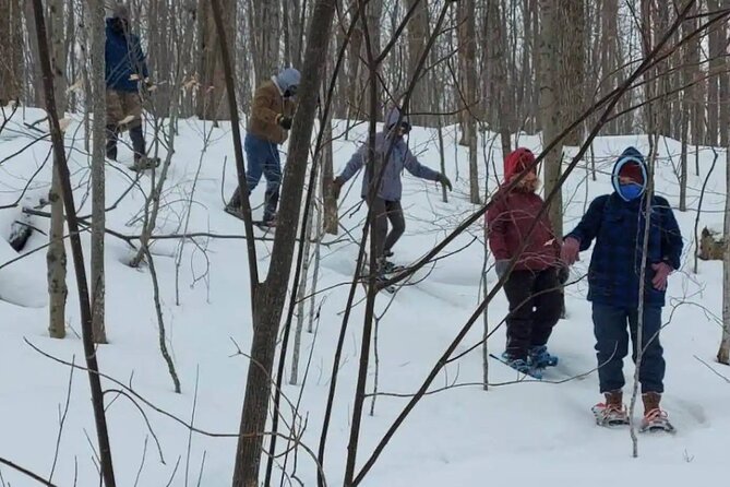 Snowshoe Awenda Provincial Park on Beautiful Georgian Bay - Cancellation and Accessibility