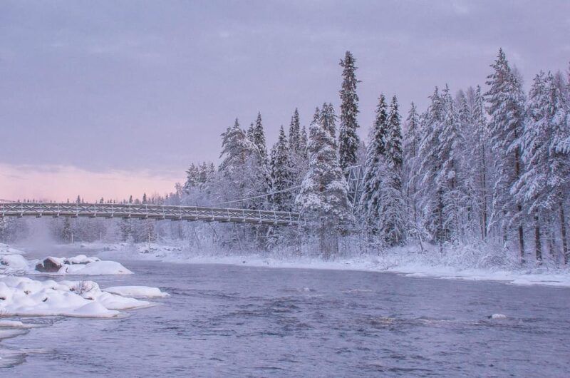 Snowshoe Experience With Traditional Beverages in Lapland - Preparation and Meeting Details