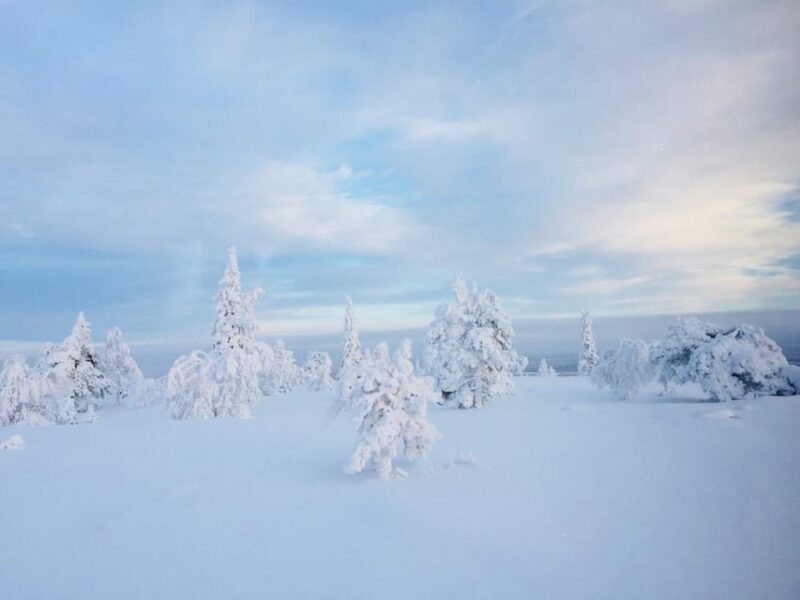 Snowshoe Experience With Traditional Beverages in Lapland - Capturing Memorable Moments