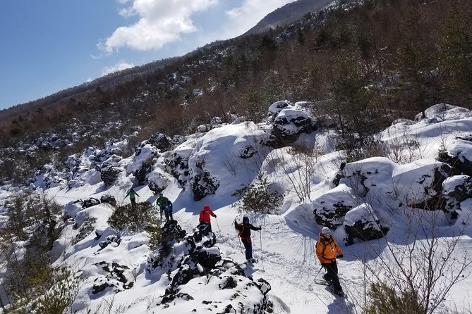 -Snowshoe Hike at the Base of Mount Asama- Karuizawa Snowshoe Tour - Key Points
