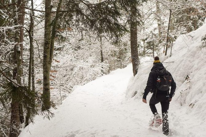 Snowshoe Hike to the Three Peaks of Lavaredo - Gear and Equipment