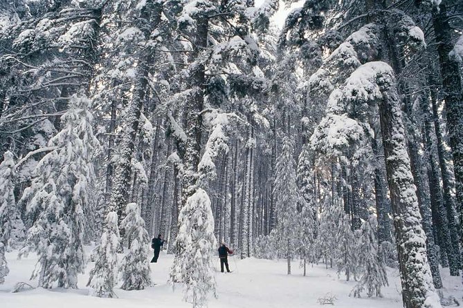 Snowshoe Hike to the Three Peaks of Lavaredo - Scenic Viewpoints
