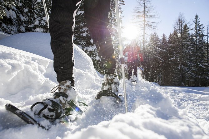 Snowshoe Hike to the Three Peaks of Lavaredo - Booking and Logistics