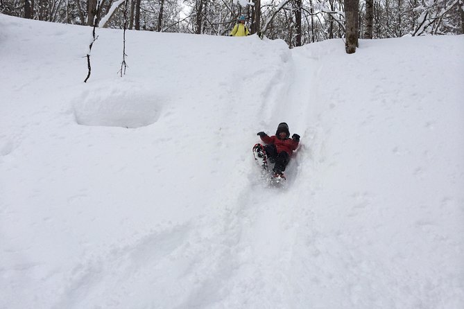 Snowshoe Hike Tour From Sapporo - Suitability and Fitness Level
