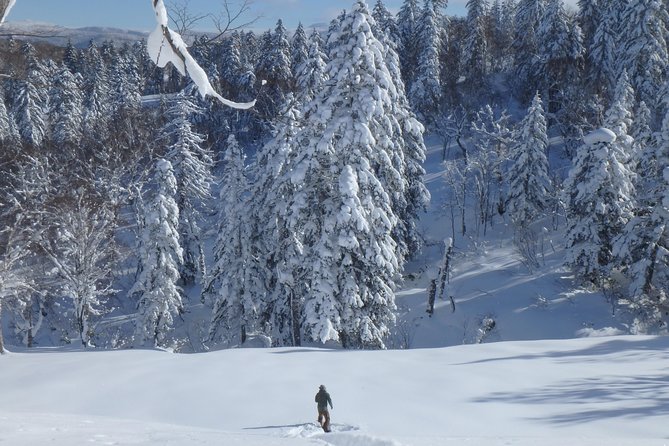 Snowshoe Hike Tour From Sapporo - Group Size and Privacy