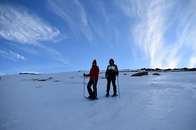 Snowshoe Hiking in Sierra Nevada (Granada) - Good To Know