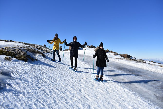 Snowshoe Hiking in Sierra Nevada (Granada) - Health and Safety Information