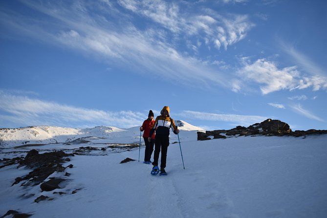 Snowshoe Hiking in Sierra Nevada (Granada) - Pricing and Booking Information