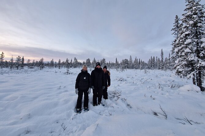 Snowshoe in a Winter Forest - Whats Included in the Tour