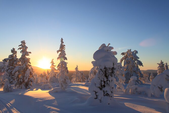 Snowshoe in a Winter Forest - Pricing and Booking Details