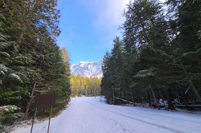 Snowshoe OR Cross Country Ski Tours in Glacier National Park - Exploring Glaciers Backcountry on Skis