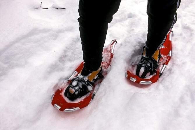 Snowshoe OR Cross Country Ski Tours in Glacier National Park - Choosing the Right Tour Package