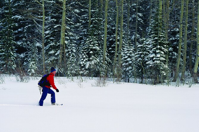 Snowshoe Rental at Tremblant - Meeting Point and Directions