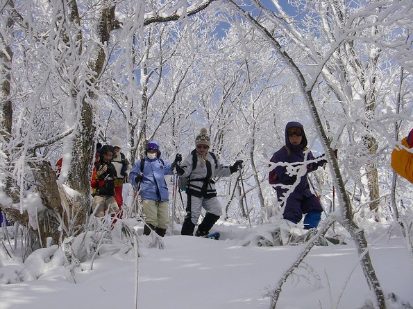 Snowshoe Tour - Meeting and Pickup