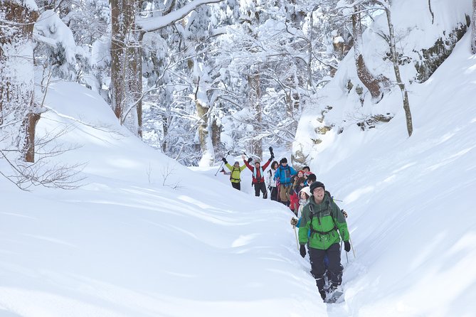 Snowshoe Tour - Confirmation and Accessibility