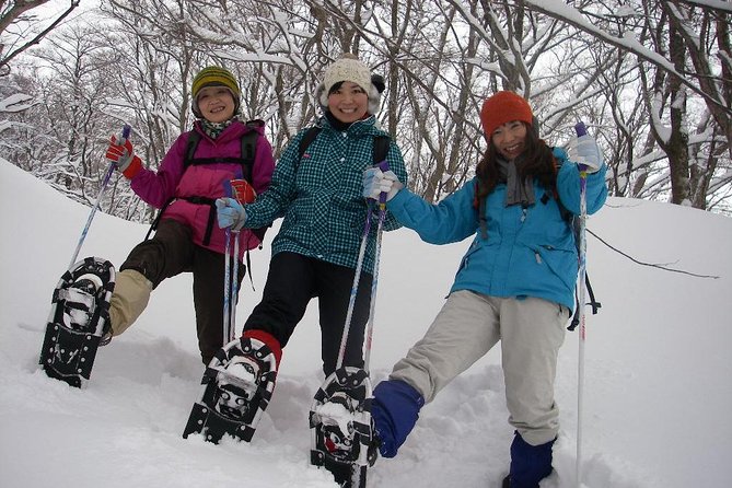 Snowshoe Tour - Group Size