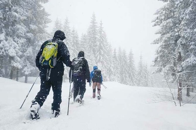 Snowshoe Tour in Winter Wonderland - Oslo - Good To Know