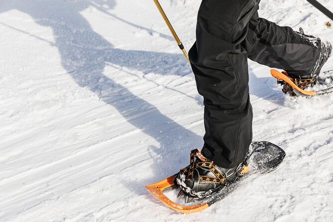 Snowshoe Tour in Winter Wonderland - Oslo - Inclusions