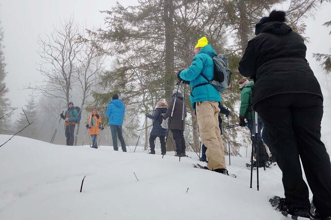 Snowshoe Tour in Winter Wonderland - Oslo - Health and Safety