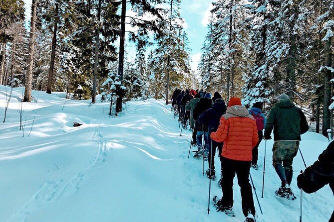 Snowshoe Tour in Winter Wonderland - Oslo - Transportation Options