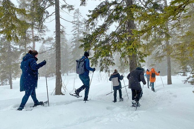 Snowshoe Tour in Winter Wonderland - Oslo - Expert Guidance