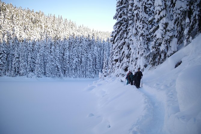 Snowshoe Tours - Meeting Point Locations