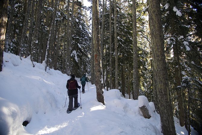 Snowshoe Tours - Additional Tour Information